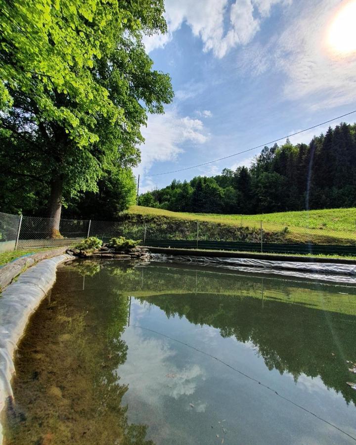 Domek Nad Stawami Ochotnica Dolna Exterior foto