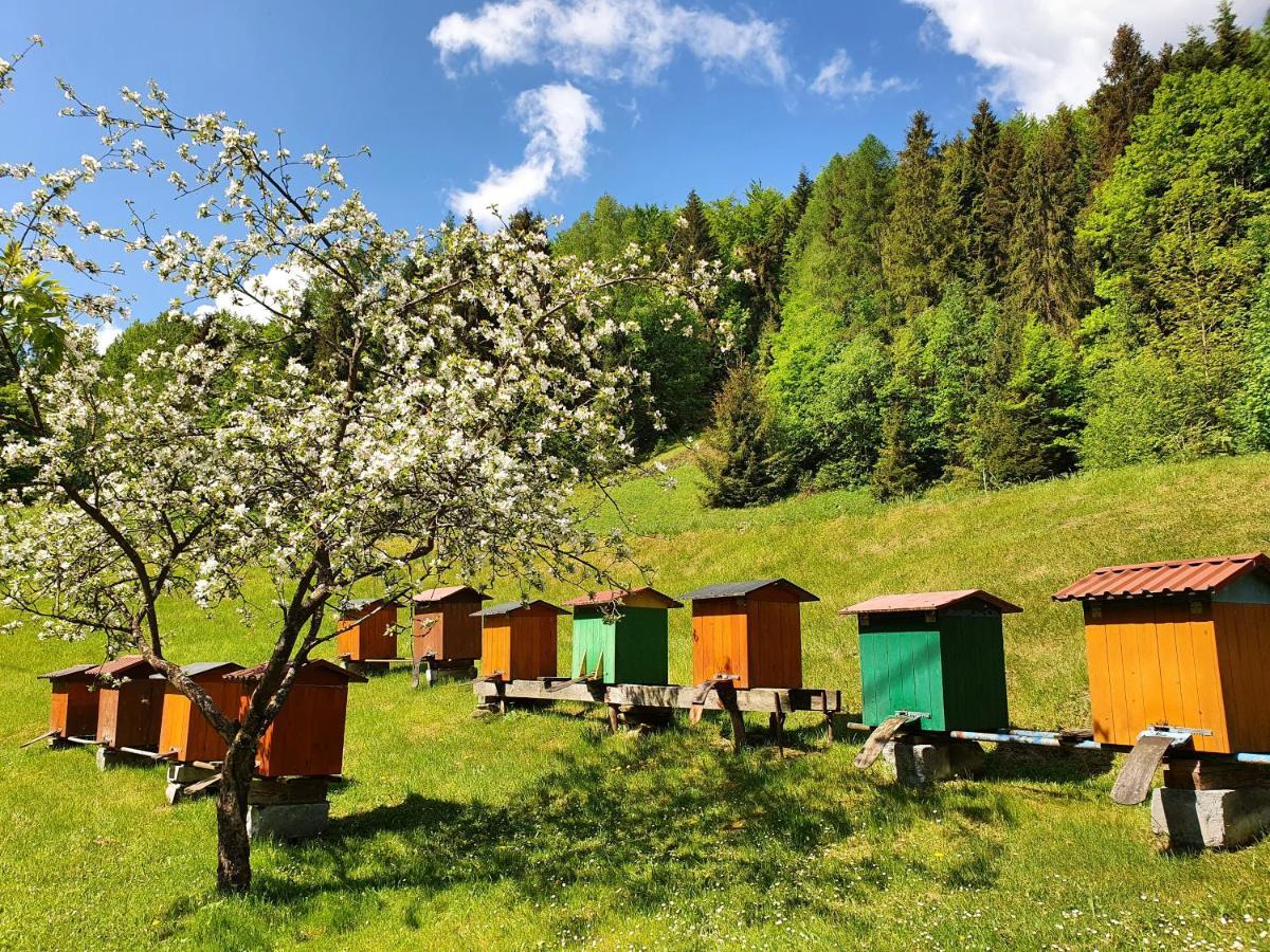 Domek Nad Stawami Ochotnica Dolna Exterior foto